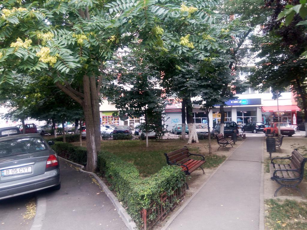 Apartament Dana Bucharest Luaran gambar