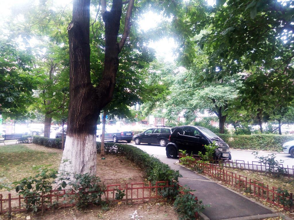 Apartament Dana Bucharest Luaran gambar