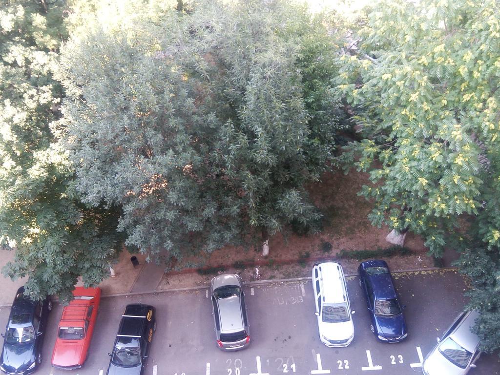 Apartament Dana Bucharest Luaran gambar